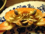 コッペガ二