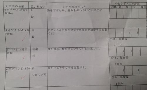いただいた薬は