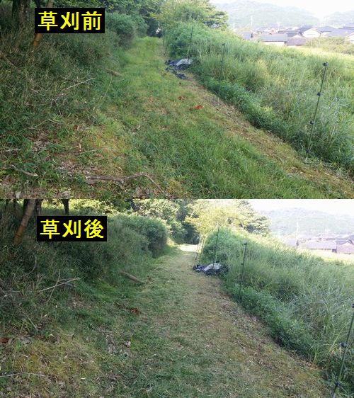 約50mの農道の草刈りをします