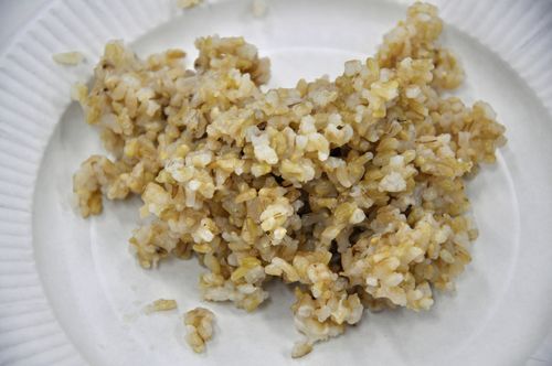 写真は、セミナーでいただいた玄米ご飯