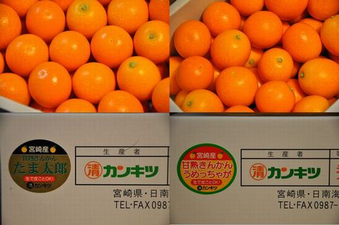 「たま太郎」&「うめっちゃが」