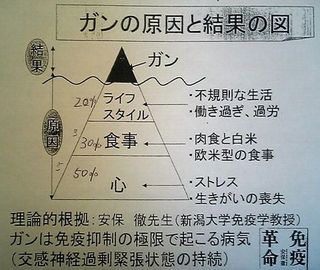 ����θ����ȷ�̿ޤǤ�