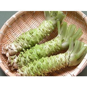 wasabi01