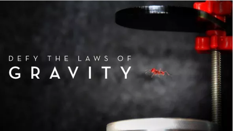gravity