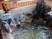 家族湯 詩季彩