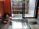 秋桜