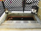 東郷温泉たぬき足湯