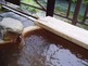足湯
