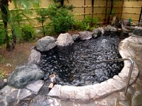 つたや旅館 露天風呂