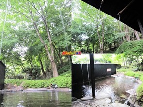 桧風呂なし大浴場 露天