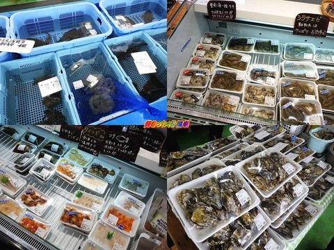 うみてらす豊前 豊築漁協直売所「四季旬海」