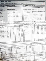 温泉分析書