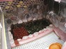 貸切風呂2号室