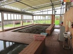 砂湯