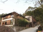 旅庵 蕗薹