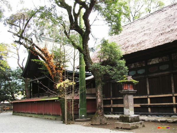 青井阿蘇神社 本殿 幣殿