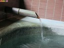 家族風呂 湯の幸