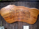 むくのきの湯の縁起