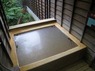 湯の華