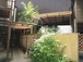 家族湯棟