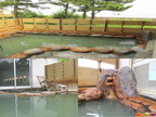 男性浴場 露天