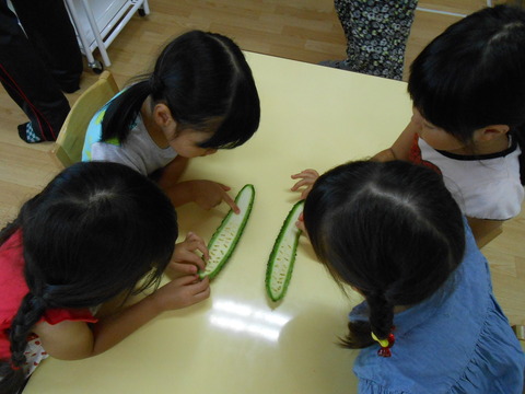 DSCN8822