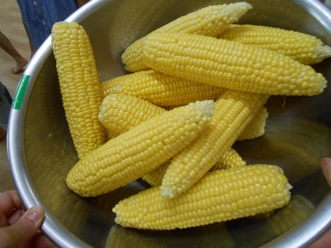 DSCN8892