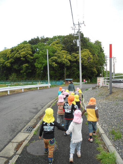 幼児大百池