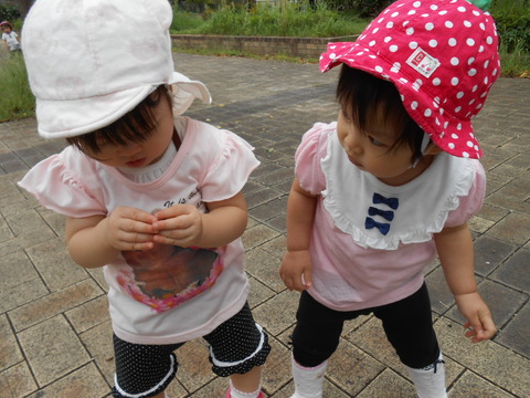 ひよこ、りすぐみお散歩 026