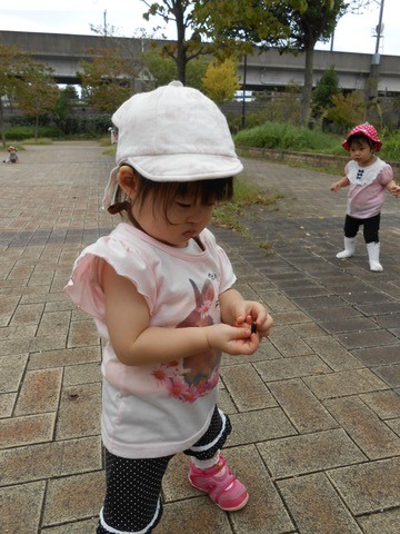 ひよこ、りすぐみお散歩 024