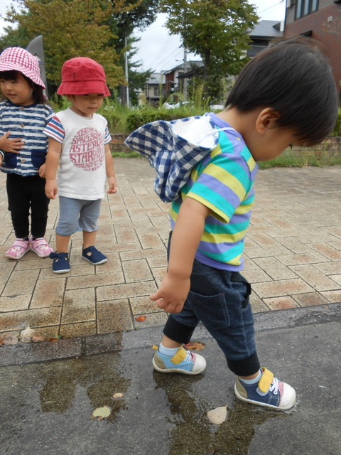 ひよこ、りすぐみお散歩 003
