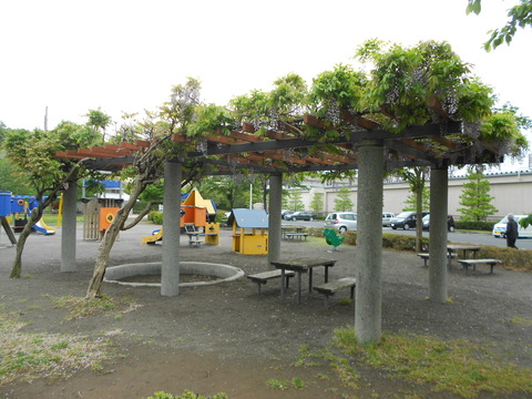 大百池公園