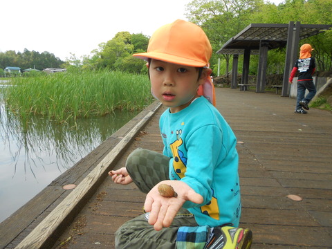 大百池公園池の中2
