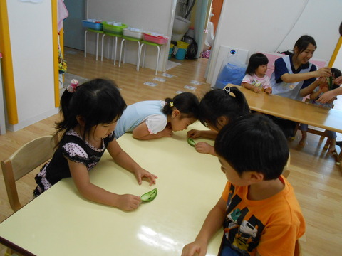 DSCN8833