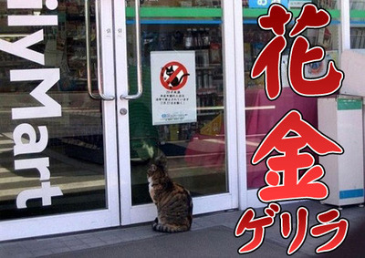 週末ゲリラ