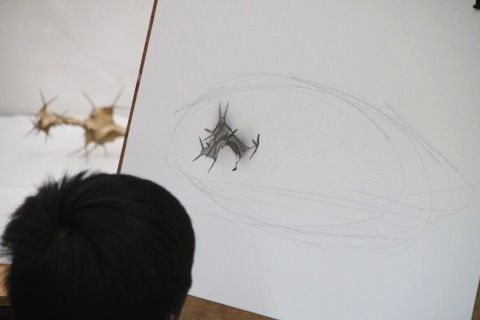 IMG_3451