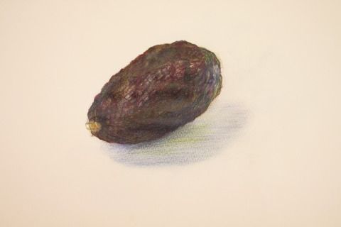 IMG_8575
