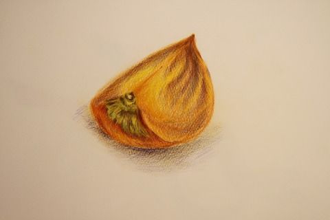 IMG_3262