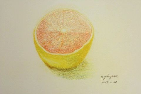 IMG_2156