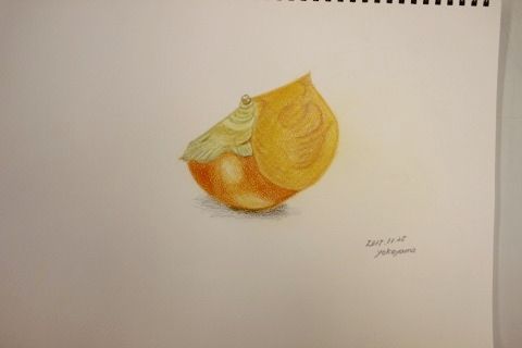 IMG_2350