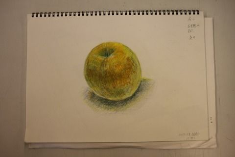 IMG_6603