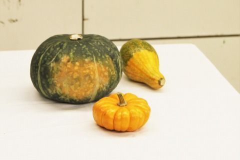 IMG_8326 (2)