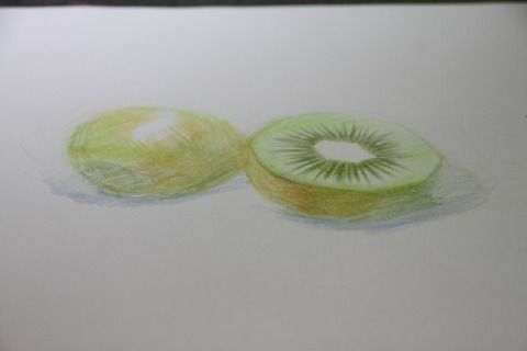 IMG_2519