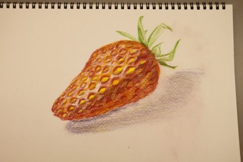 IMG_8574