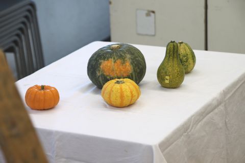 IMG_8360