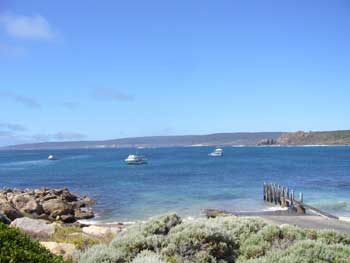 danzborrowbeach