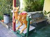 カンガルー