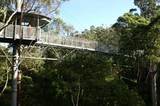 treetopwalk