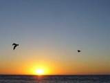sunset1