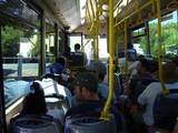 rotbus